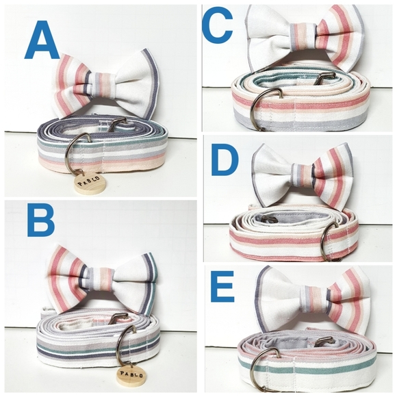 🐶 3 for $15 * Pablo's Cotton Stripes Dog Bow Tie & Leash Set - Picture 2 of 8